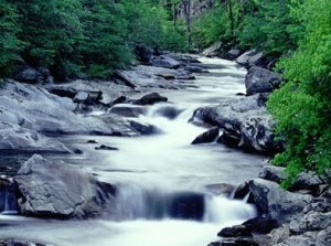 نهر الجنون نهر الجنون