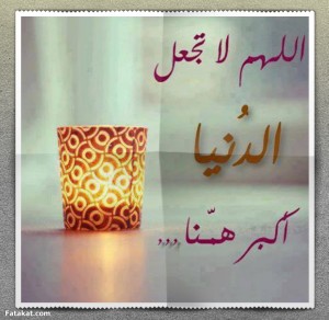 قصص حقيقية فى السعودية