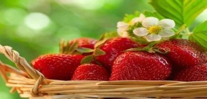 صورة فرولة بداخل صندوق بشكل مؤثرة وجميلة