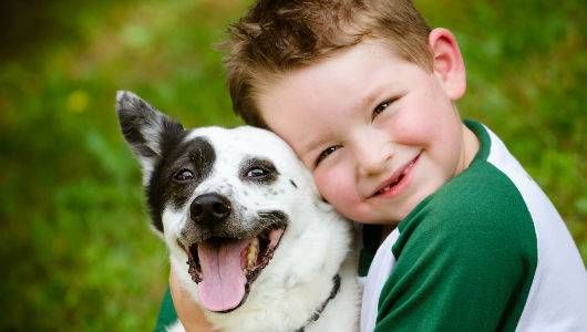 وفاء كلب قصة جميلة جدا عن الوفاء Boy-and-dog.jpg.560x0_q80_crop-smart