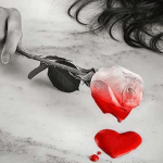 اجمل قصص مؤثرة عن التضحية والوفاء في الحب بشعر بنهاية القصة