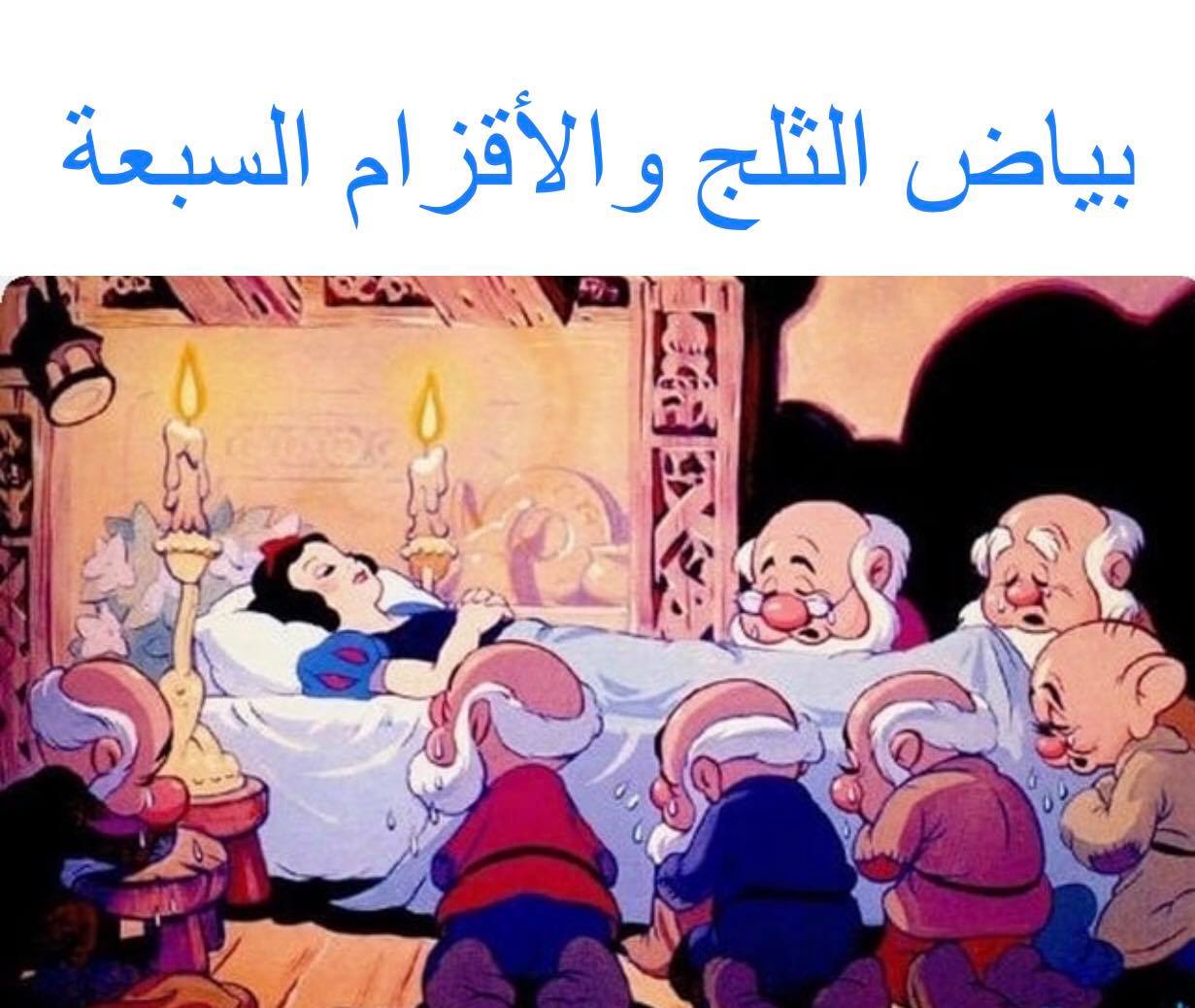قصة بياض الثلج والأقزام السبعة قصة جميلة جدا قصص واقعية