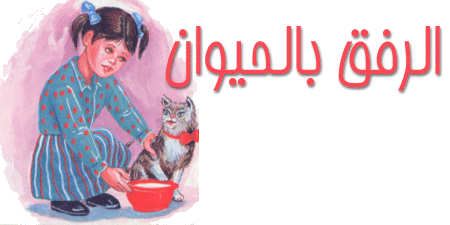 الرفق بالحيوان