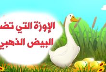 قصة الإوزة والبيضة الذهبية