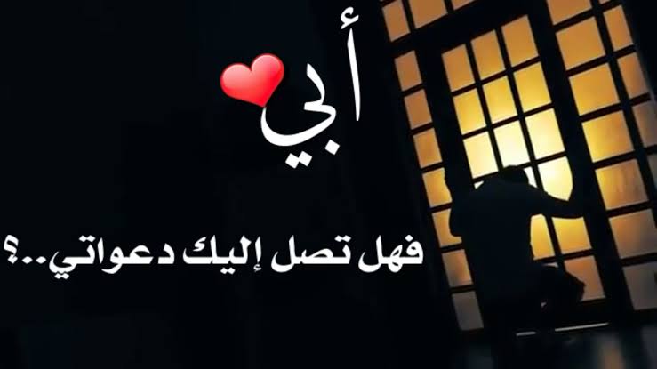 أبي