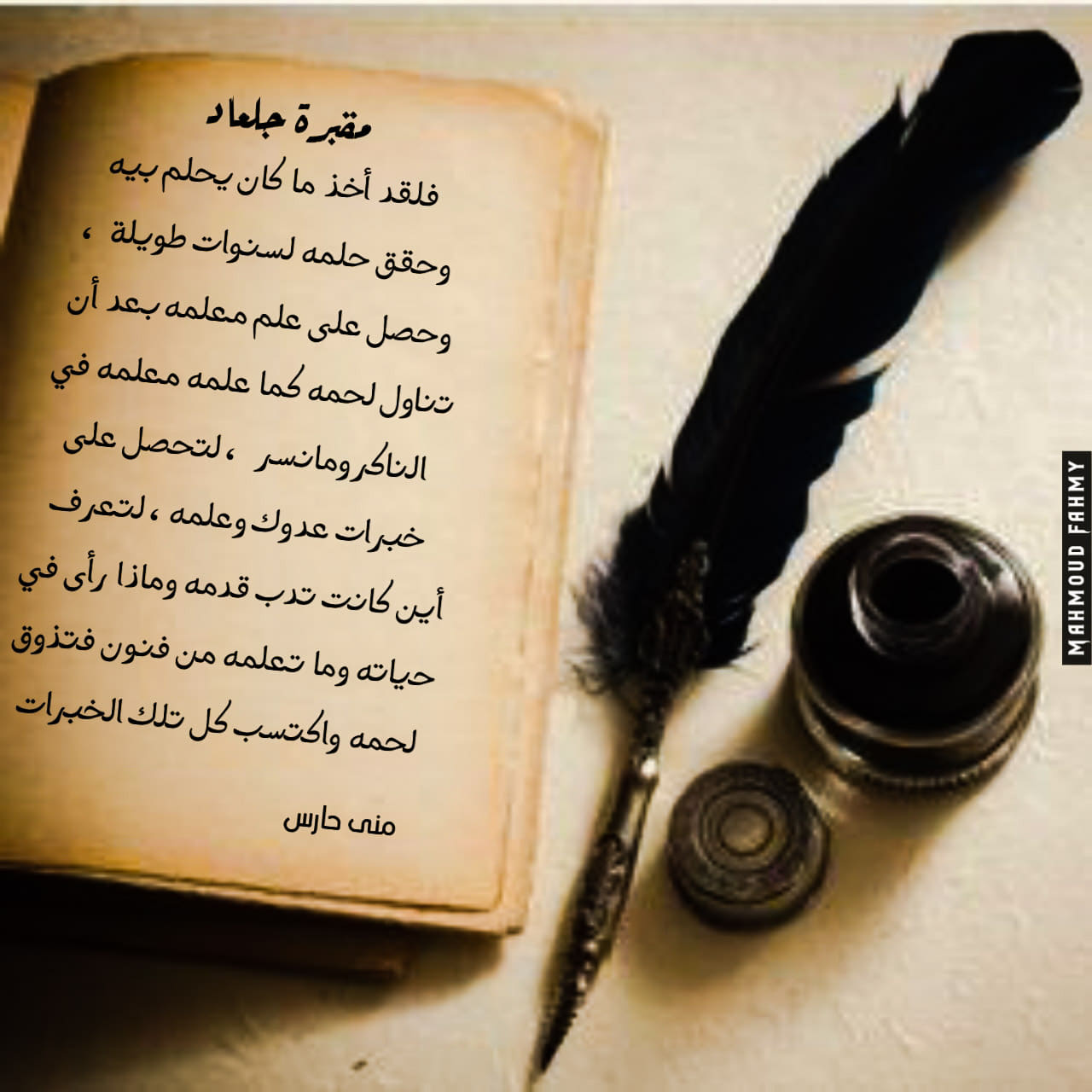 نبذة عن رواية مقبرة جلعاد