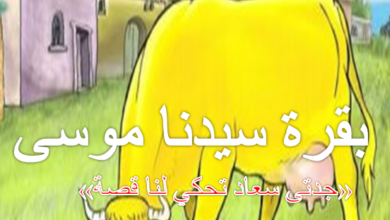 قصة بقرة سيدنا موسى