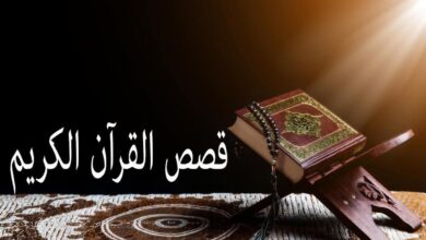 قصص القرآن لسالم النواف.