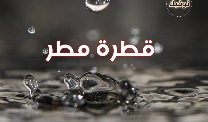 رواية قطرة مطر الجزء الثالث للمؤلفة مني لطفي