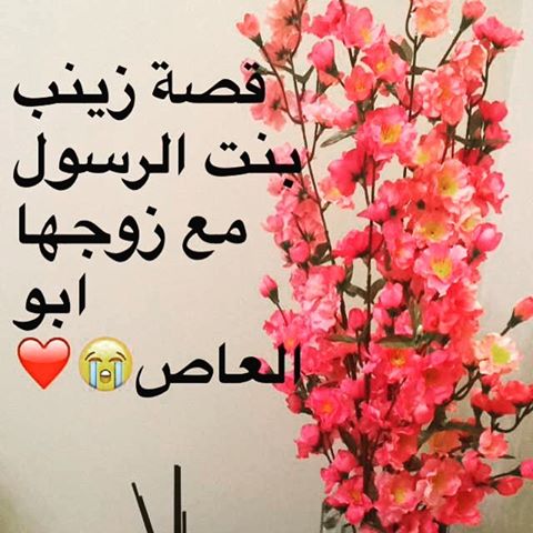 قصة حب زينب اينة رسول الله لزوجها.