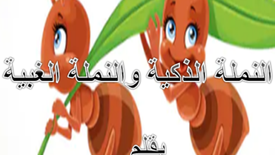 النملة الذكية وأختها الغبية