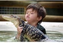 التمساح والصبي الصغير