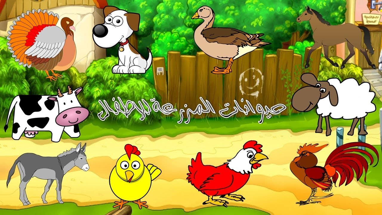 حيوانات المزرعة.