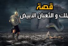 قصة الملك والثعبان الأبيض.