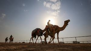 قصص بدوية