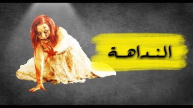 قصص مخيفة الصفحة 3 من 26 قصص واقعية
