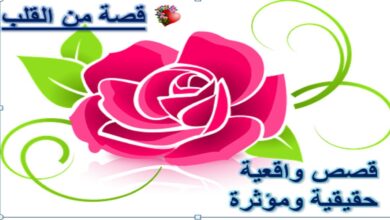 قصص من القلب (قصص واقعية حقيقية ومؤثرة).