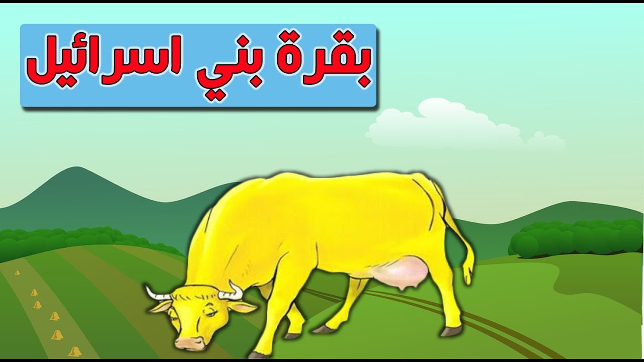 بقرة بني إسرائيل.