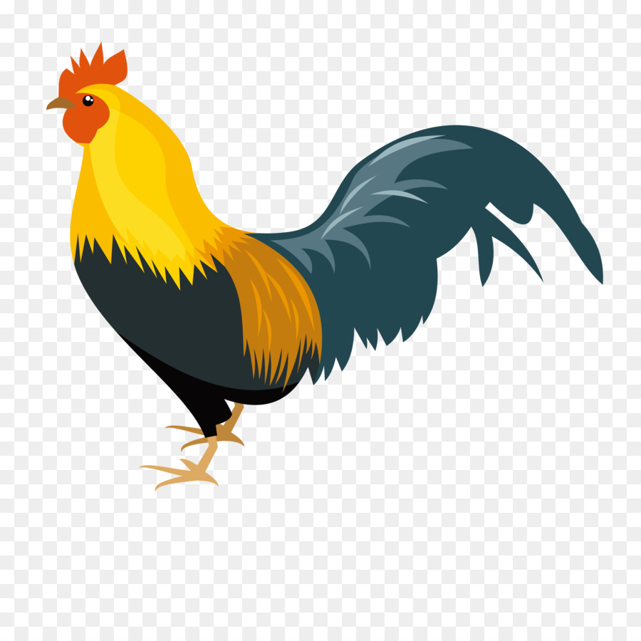ديك مرسوم.