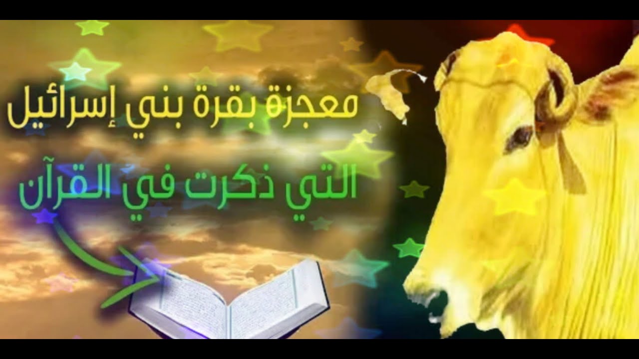 معجزة البقرة.