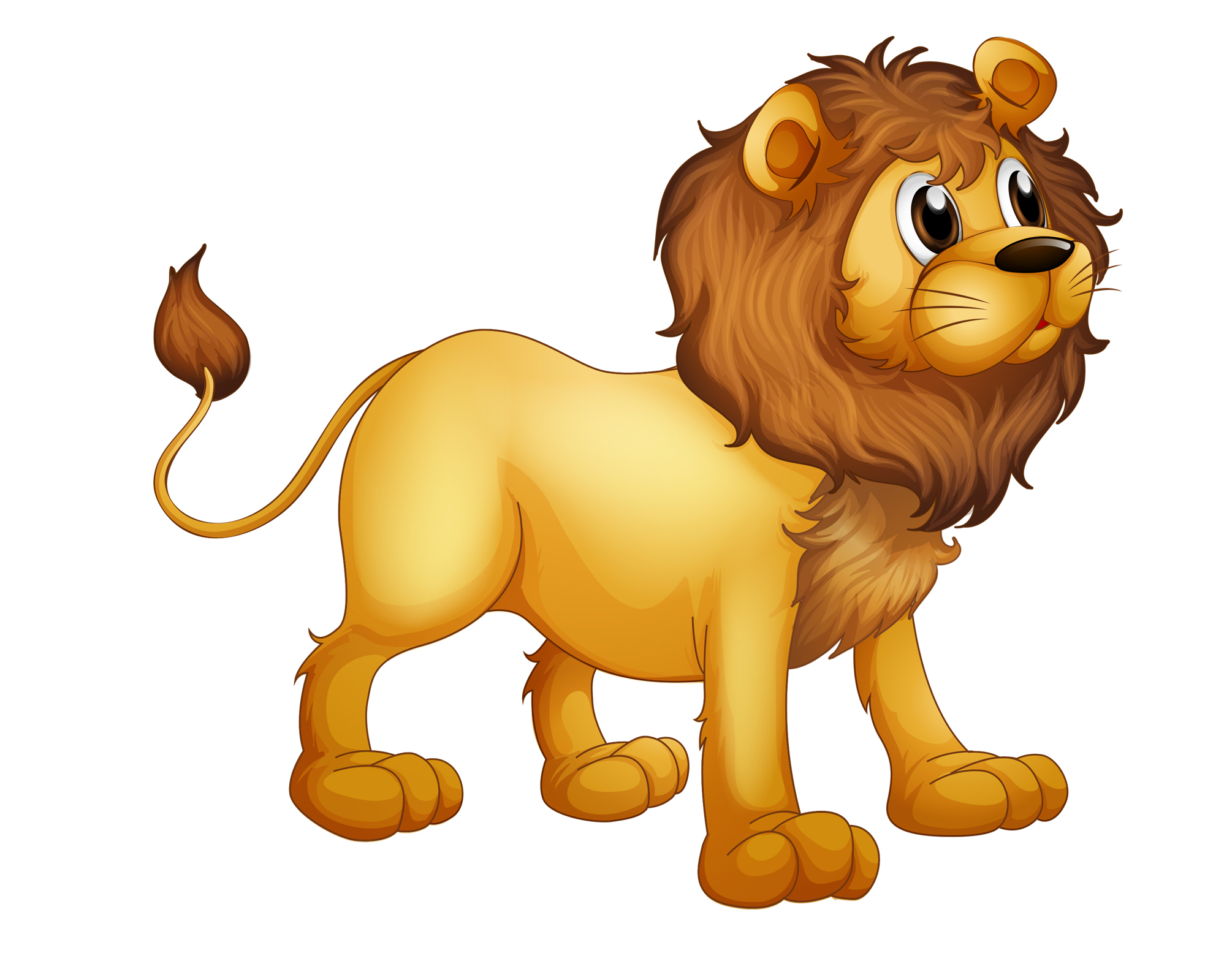 أسد صغير