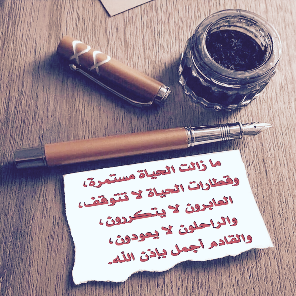 قصة الحياة مستمرة