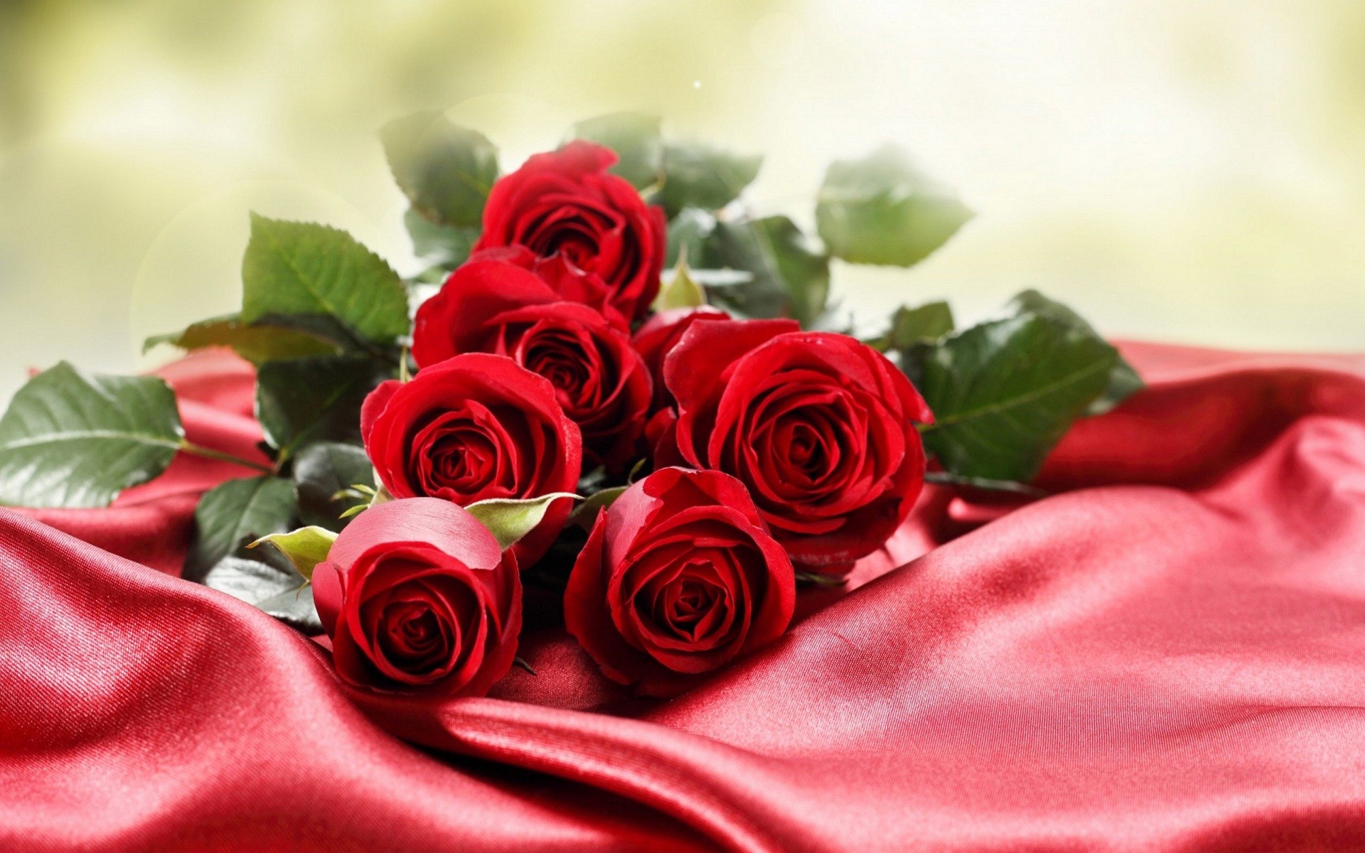 صور ورود حمراء