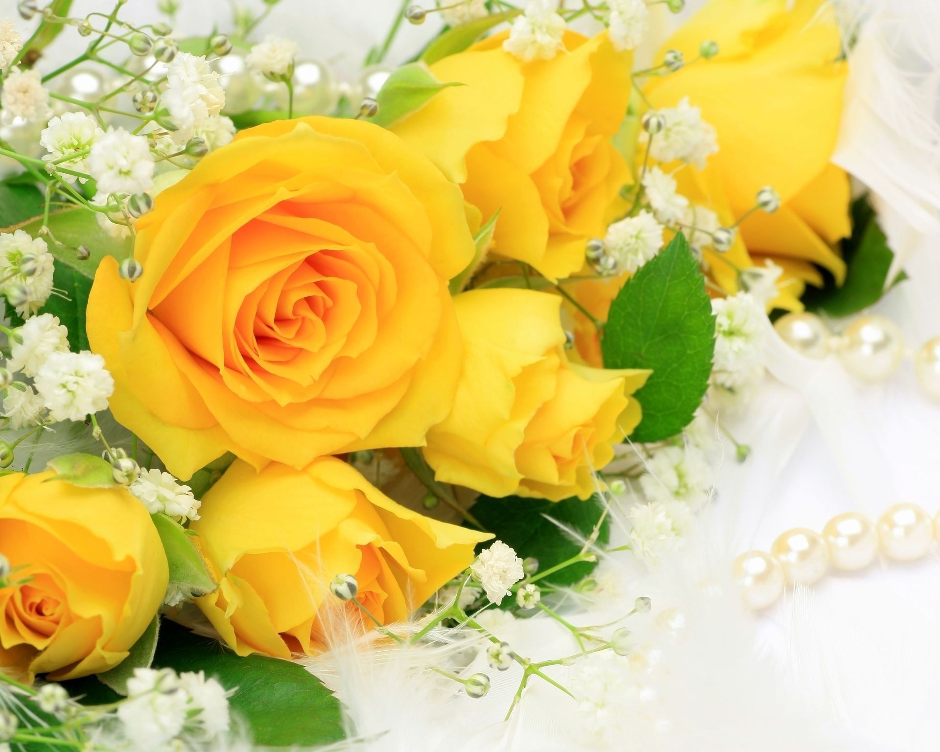 صورة ورود صفراء