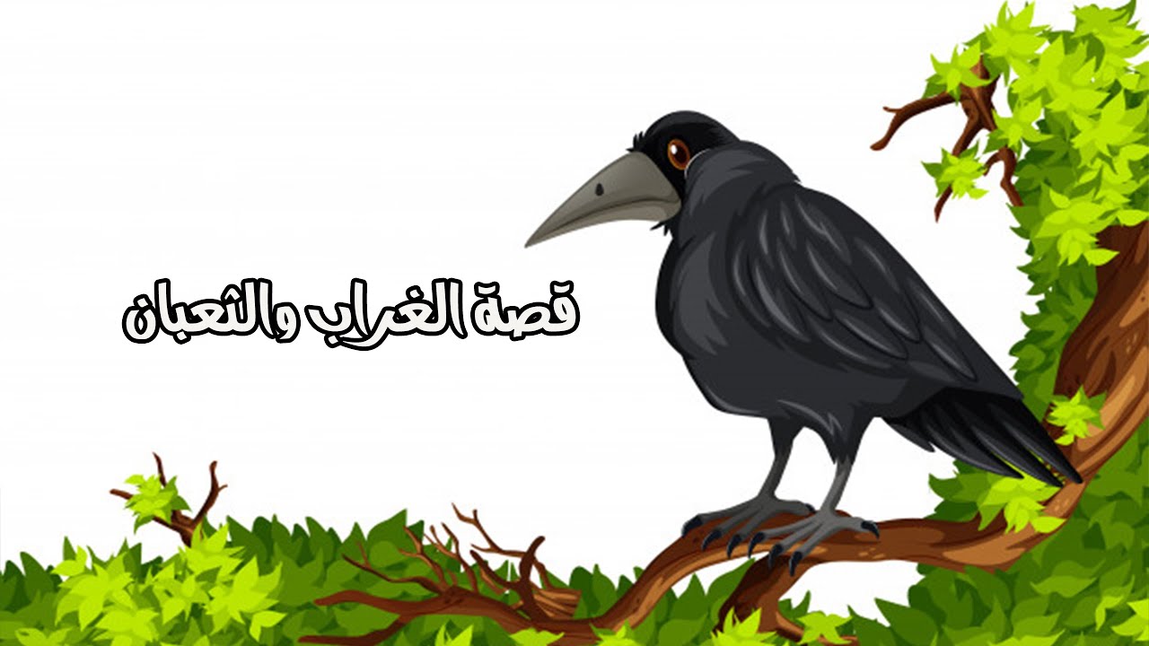 الغراب والثعبان الأسود