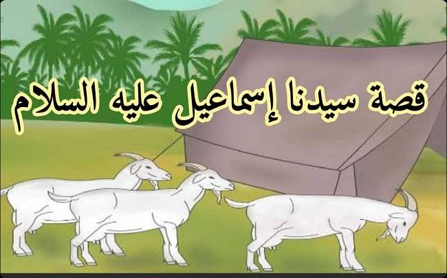 قصص