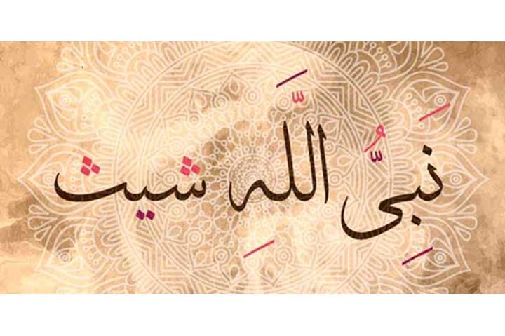 قصص