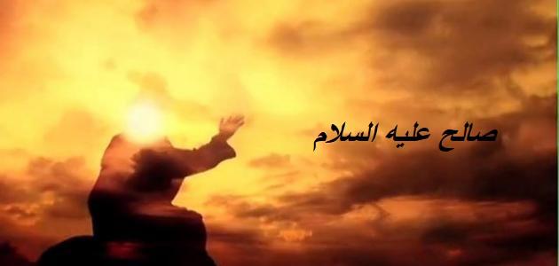 قصص