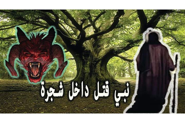 قصص