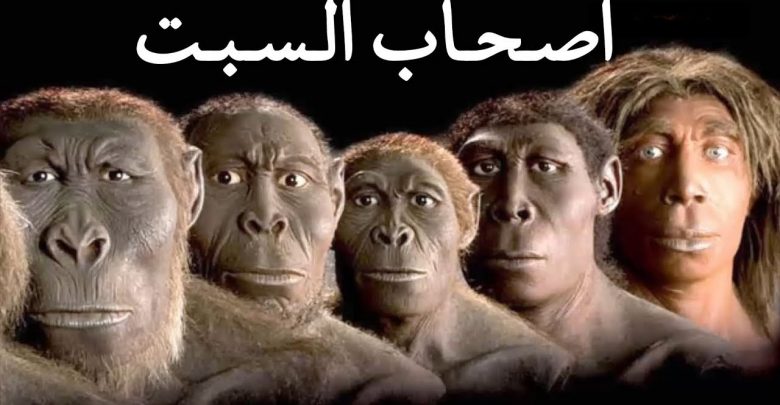 قصص