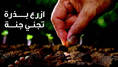 قصص طويلة عن صنائع المعروف