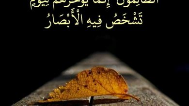 قصص وعبر مؤثرة