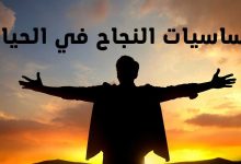 أجمل قصص نجاح