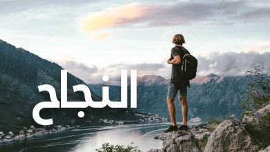 أجمل قصص نجاح