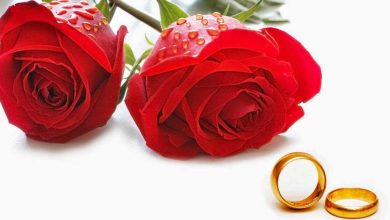 قصص حب زواج بالإجبار