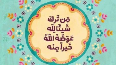 قصص وعبر جميلة