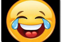 قصص مضحكة مع الحيوانات
